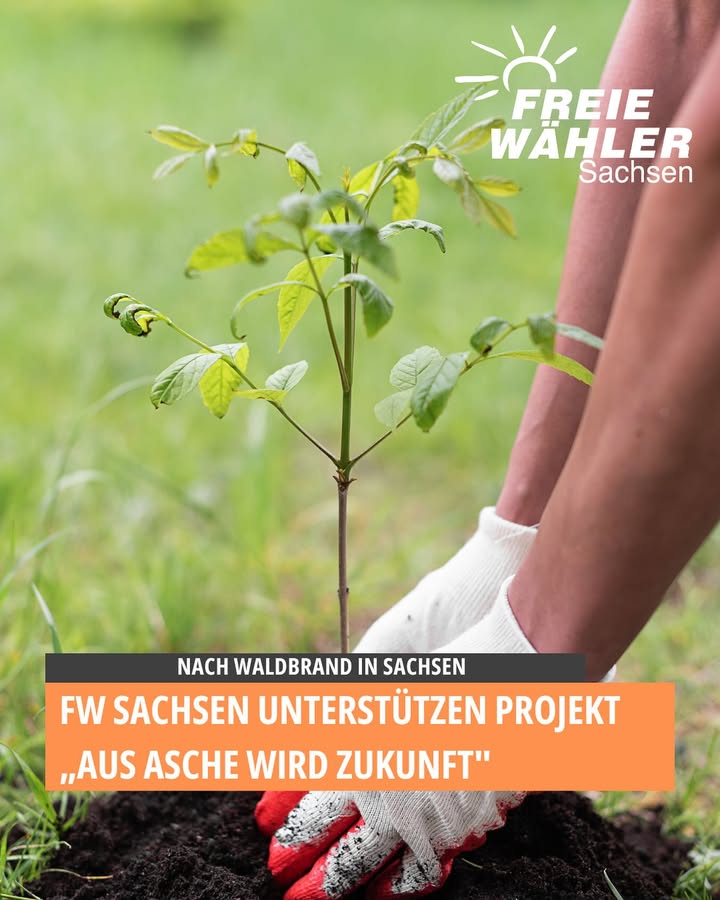 FREIE WÄHLER Sachsen
