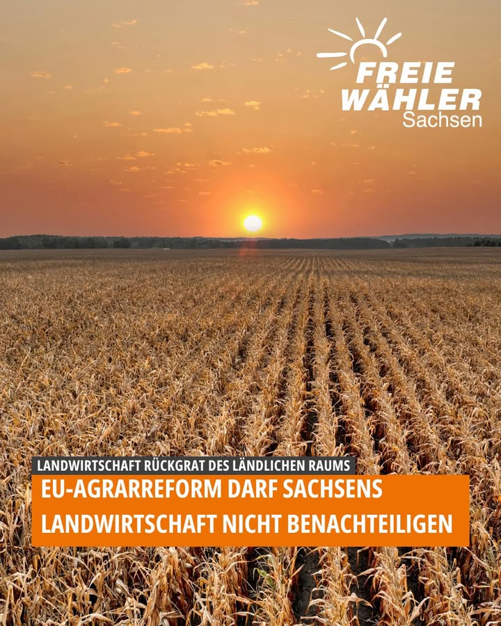 FREIE WÄHLER Sachsen